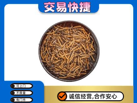 中山火炬区回收散虫草