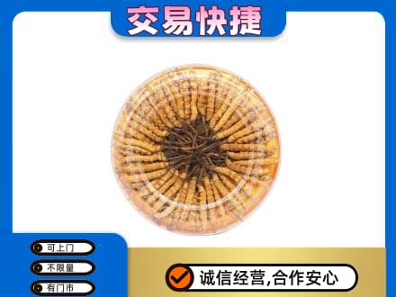 中山火炬区回收虫草礼盒